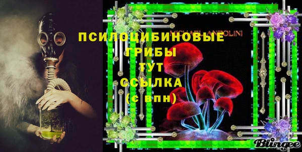 прущие грибы Алексеевка