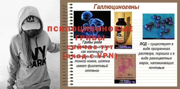 таблы Алзамай
