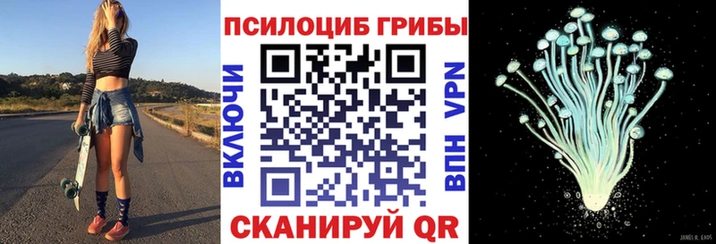 цена наркотик  Элиста  Псилоцибиновые грибы мицелий 
