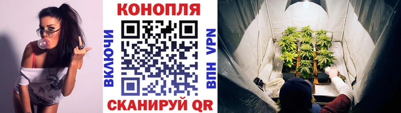 продажа наркотиков  Элиста  Канабис гибрид 